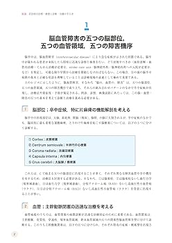 脳卒中を診るということ 脳卒中を診るということ【電子版】 | 医書.jp